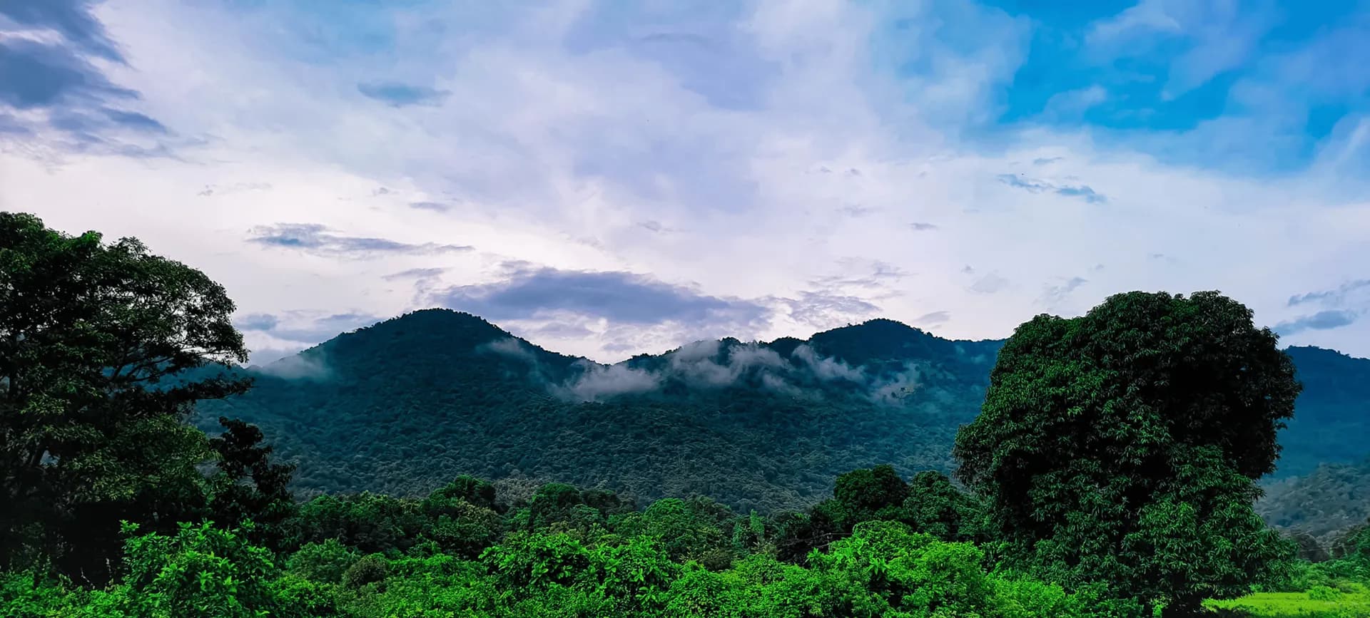 Future of Agriculture