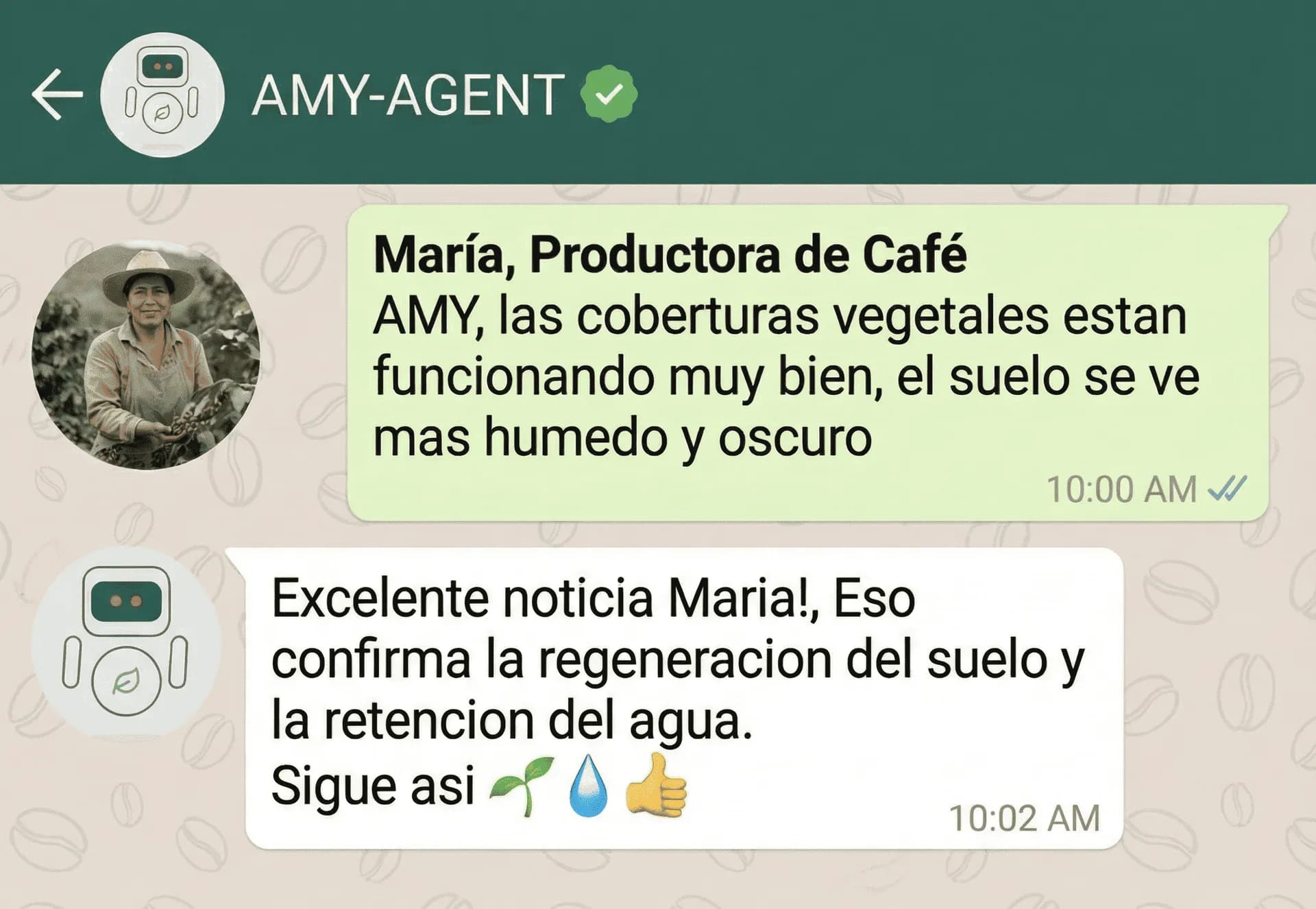 AMY-AGENT Assistant Workflow